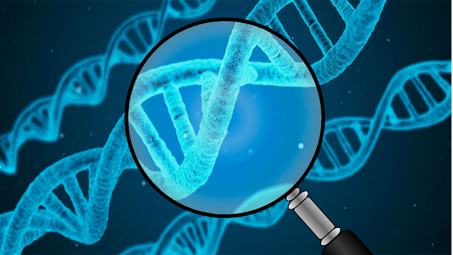 Meccanismi epigenetici della regolazione del genoma